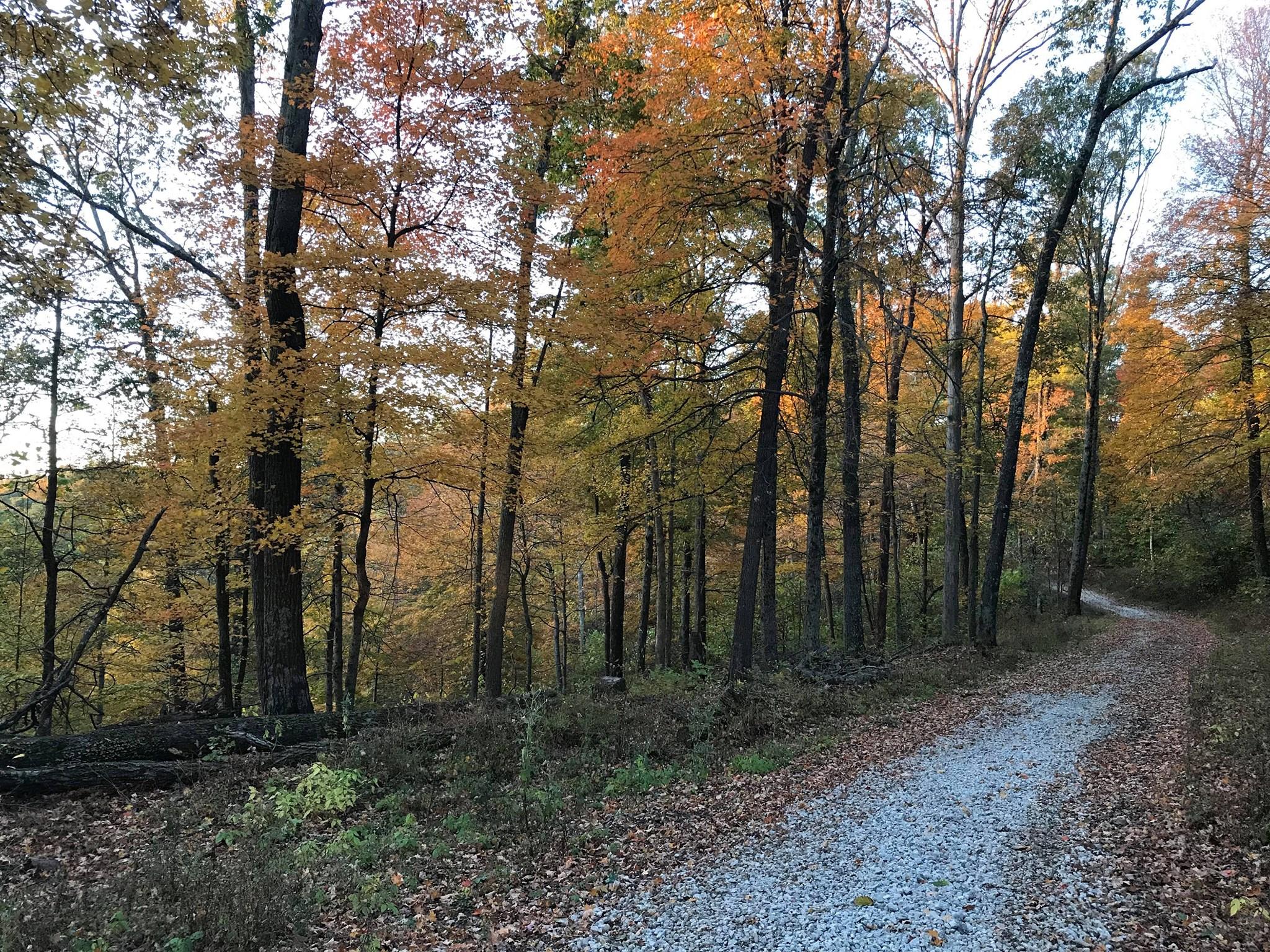 Pet Friendly Yellowwood State Forest