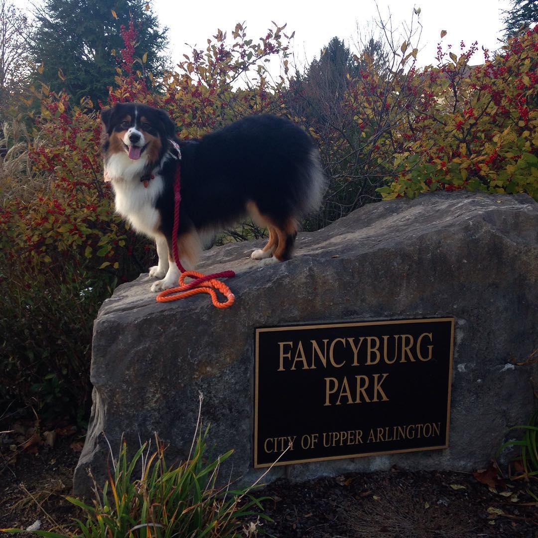 Pet Friendly Fancyburg Park