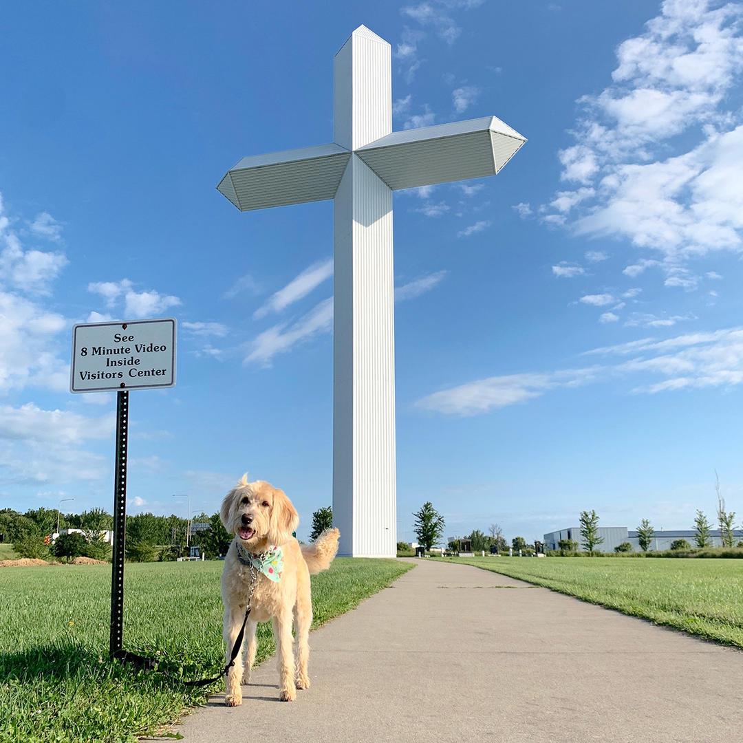Pet Friendly The Cross at the Crossroads