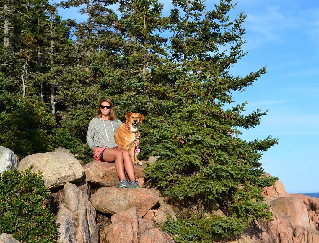 are dogs allowed at acadia national park