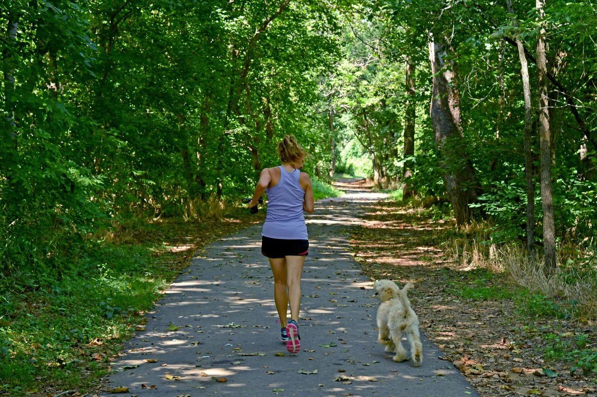 Off leash k9 sales charlottesville