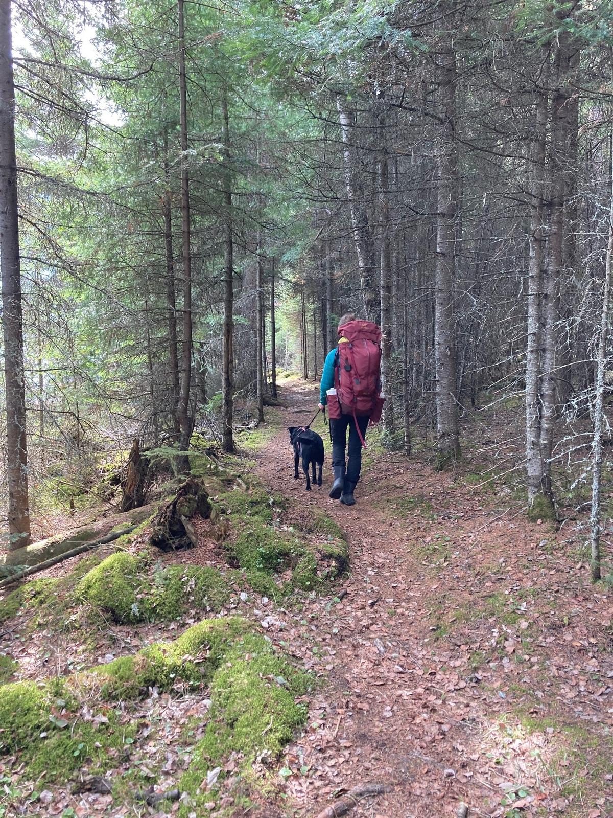 Dog Friendly Hiking Trails in Saskatchewan BringFido