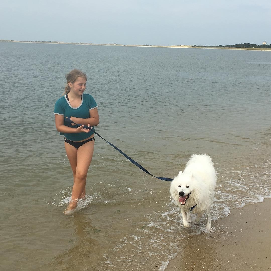 are dogs allowed at cape henlopen