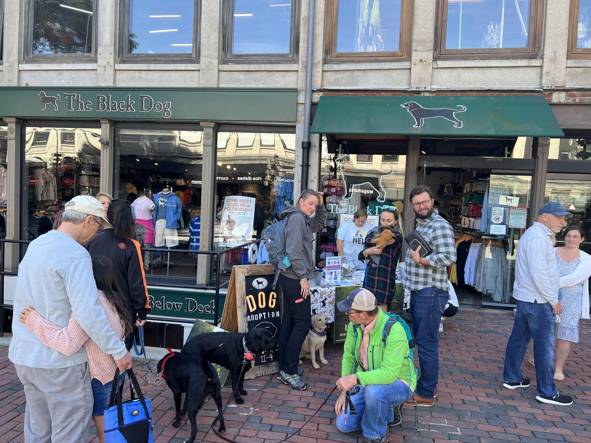 se permiten perros en faneuil hall