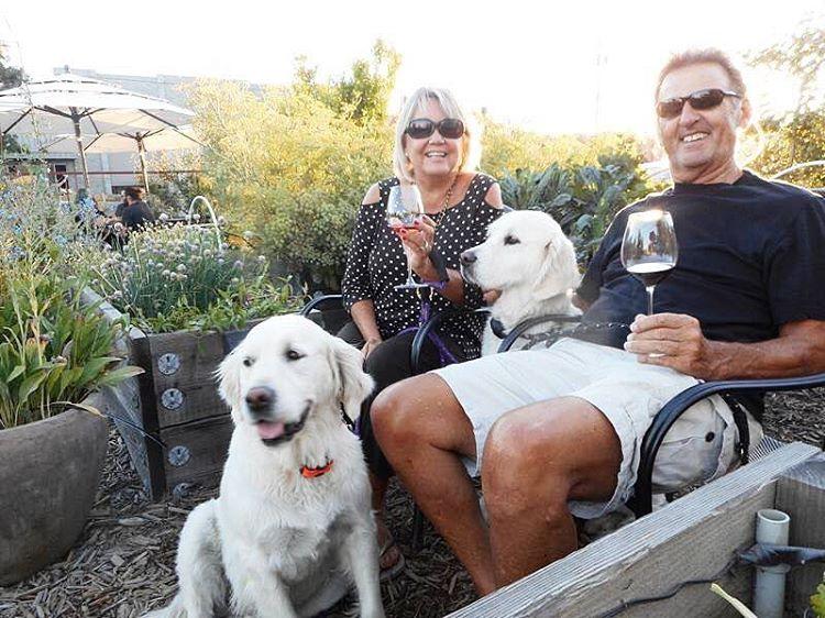 Pet Friendly St. Clair Brown Winery