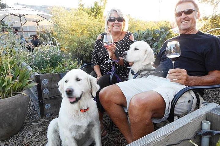 Pet Friendly St. Clair Brown Winery