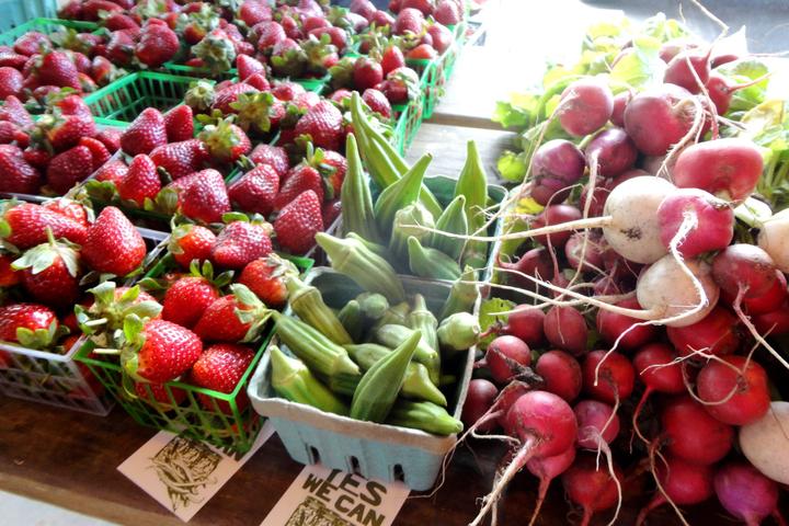 Pet Friendly Brevard County Farmers Market