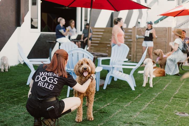 Pet Friendly BRK Republic Tap House & Dog Park