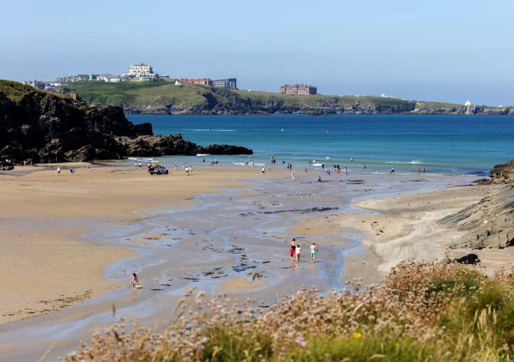 Is Porth Beach Dog Friendly