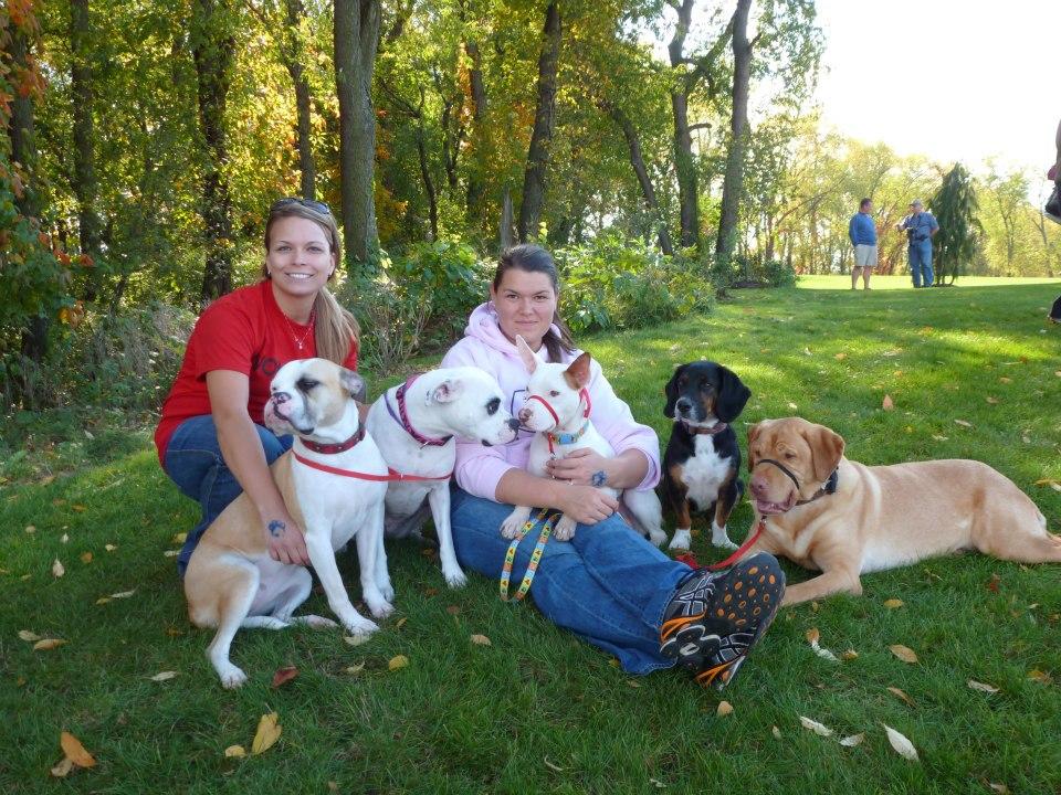 Pet Friendly Dog Park at Plain Township Veteran's Park