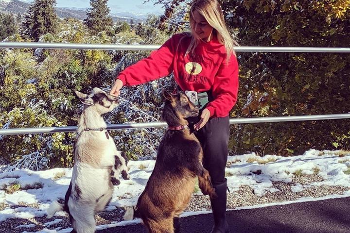 Pet Friendly In-town Hiking with Urban Goats