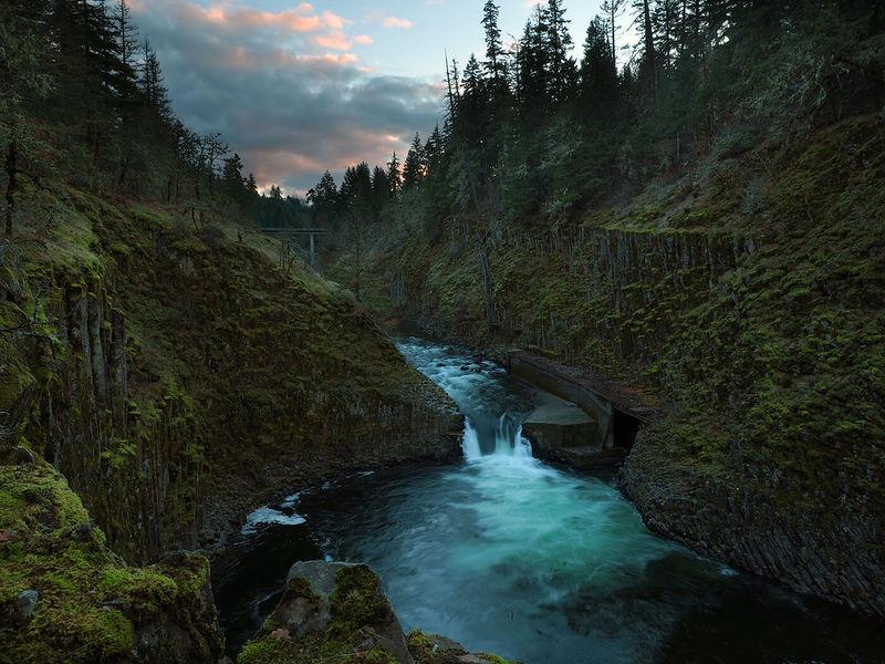 Easy hikes store mt hood