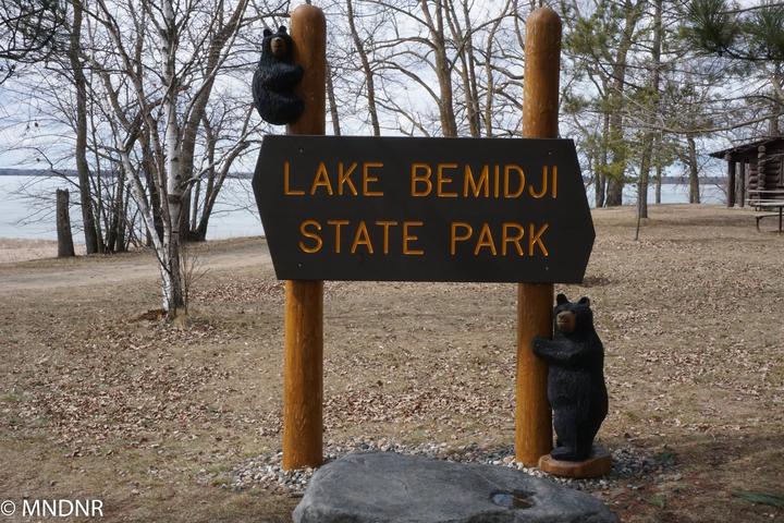 Pet Friendly Lake Bemidji State Park