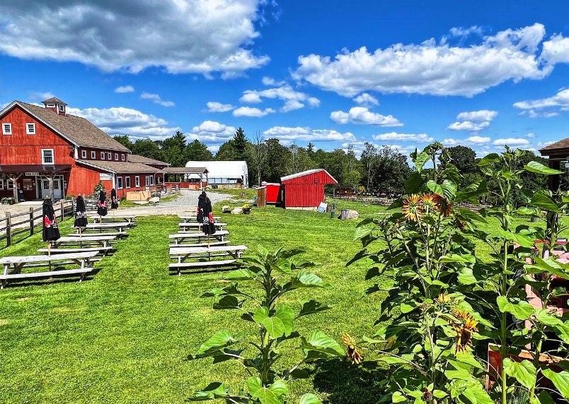 Pet Friendly Spring Artisan Festival at Lilac Hedge Farm