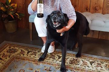 Dog Friendly Activities In Bethlehem Pa Bringfido
