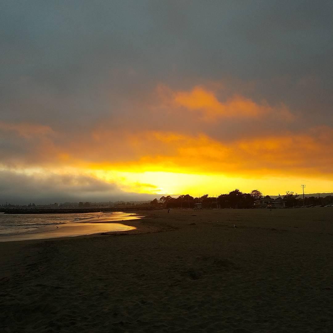 Dog Friendly Beaches in Santa Cruz CA BringFido