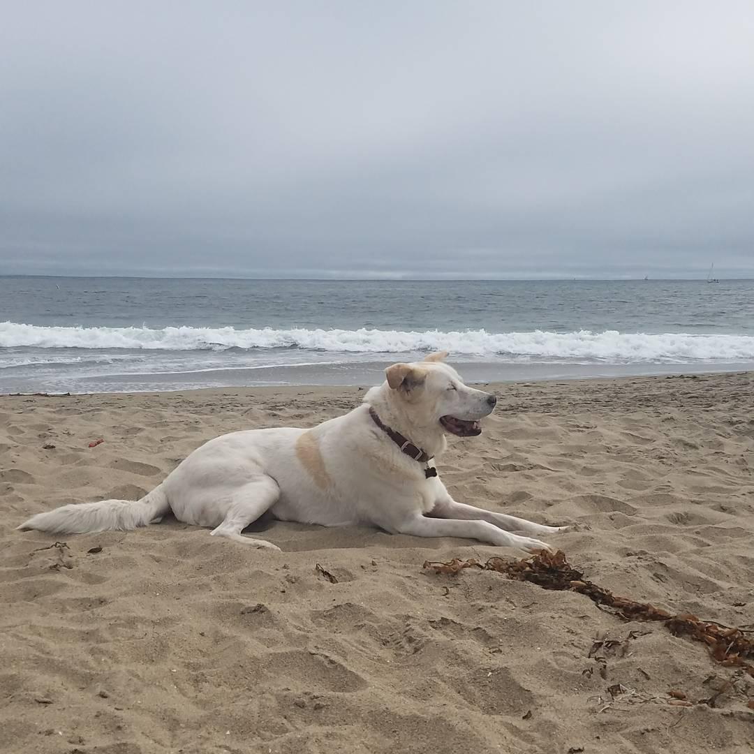 Twin Lakes State Beach