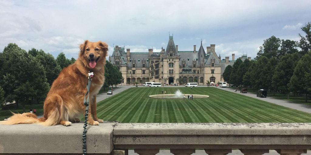 Happy Tails Tours Biltmore Estate Tour Permanently Closed