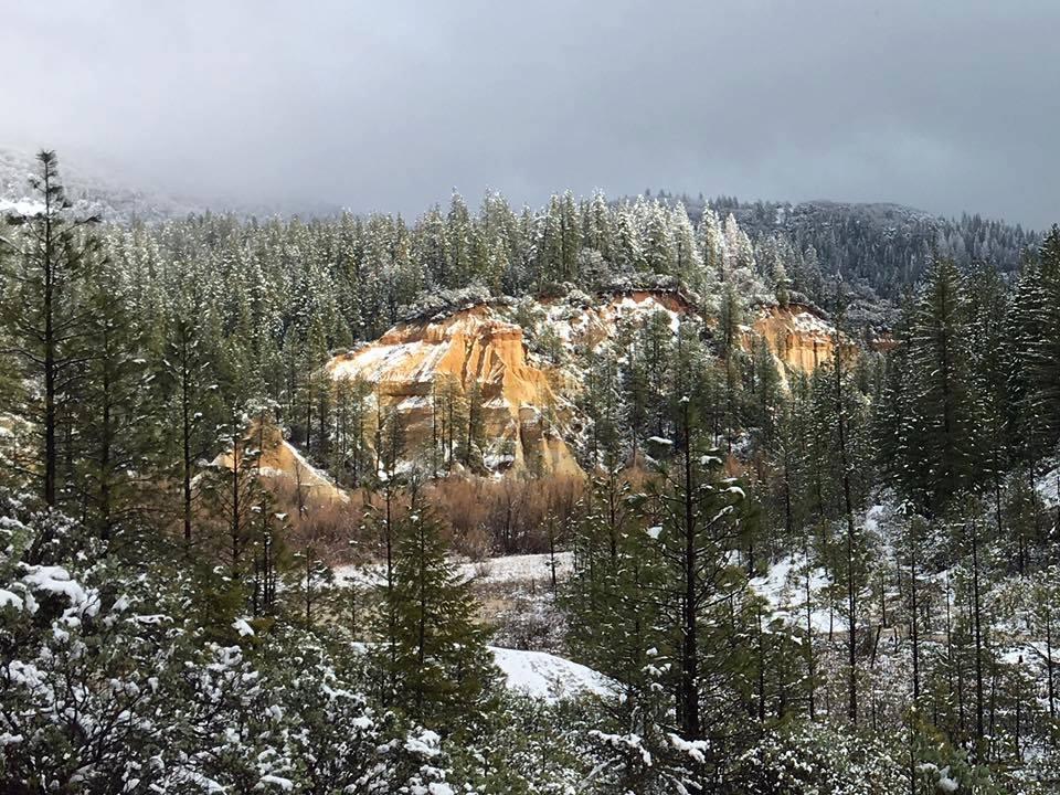 Dog Friendly Activities In Nevada City Ca Bringfido