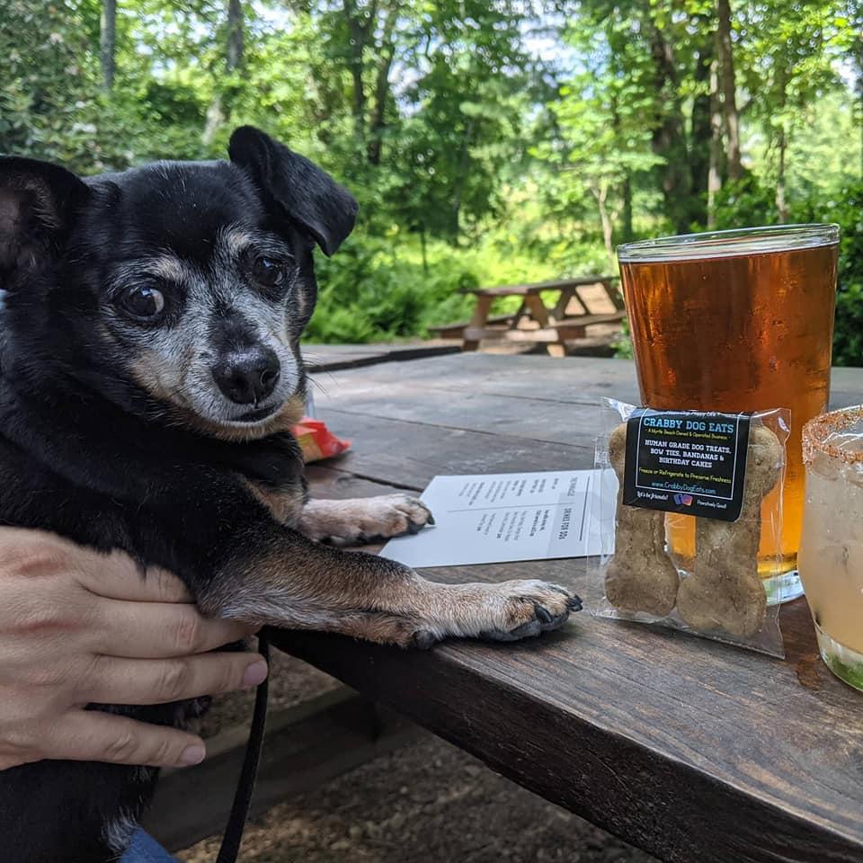 Paws for a Purpose at Mills River Brewing Co.