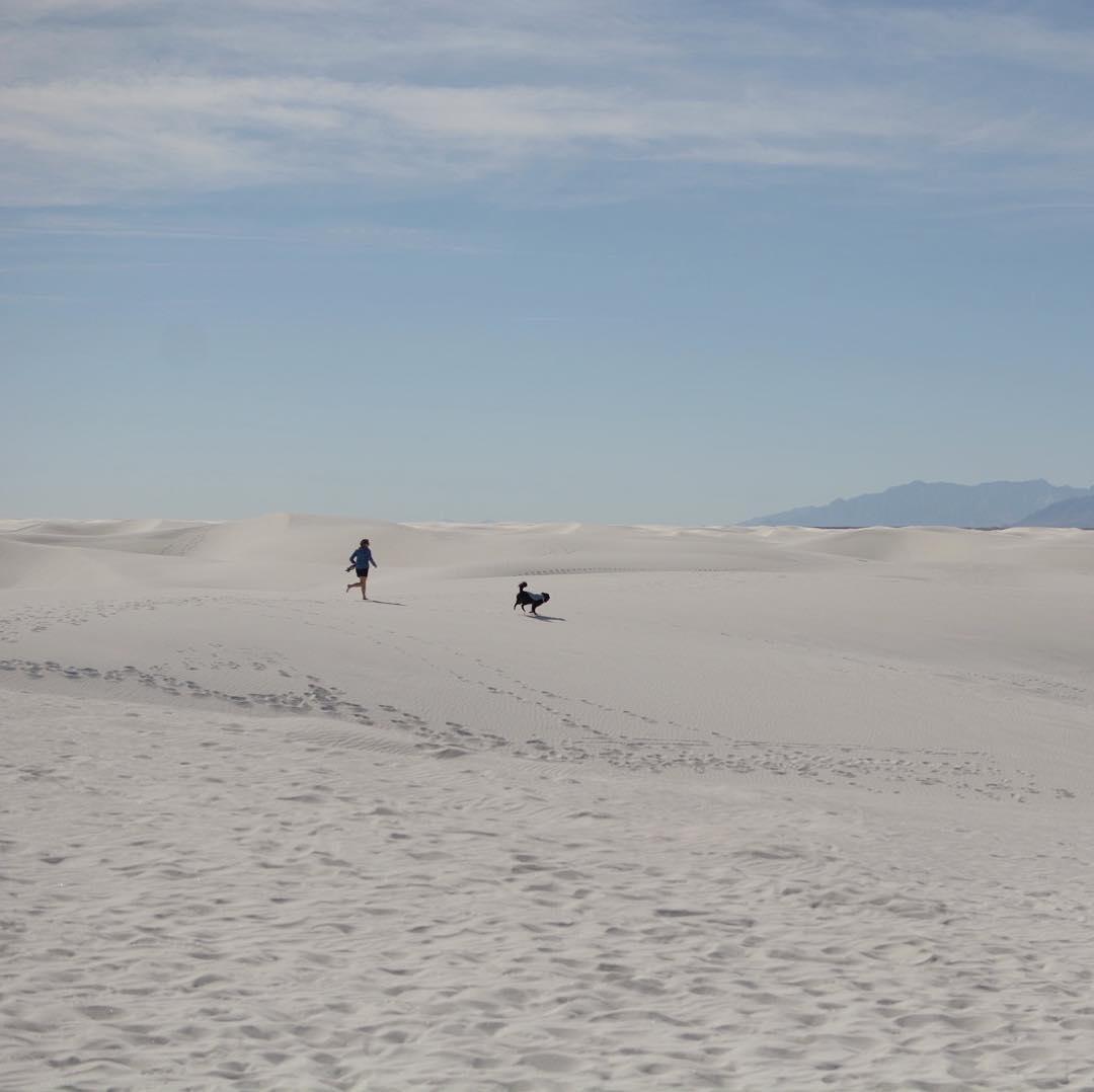 are dogs allowed at white sands national monument