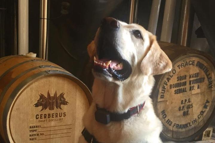 Pet Friendly Crooked Thumb Brewery