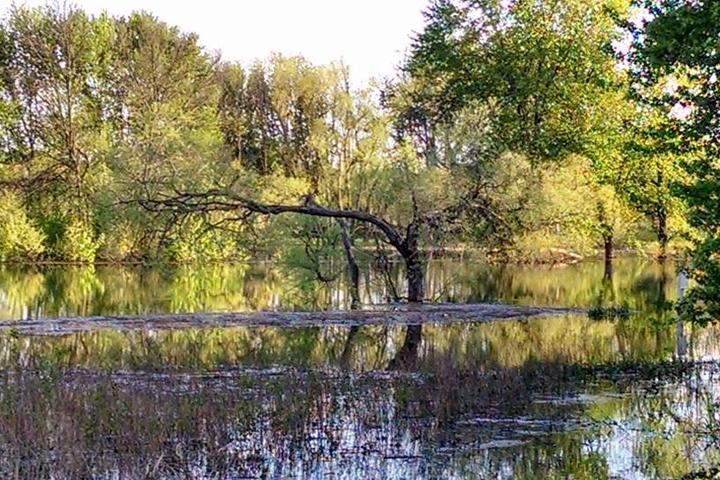 Dating Around Near Allendale Mi Dating Around Near Allendale Mi