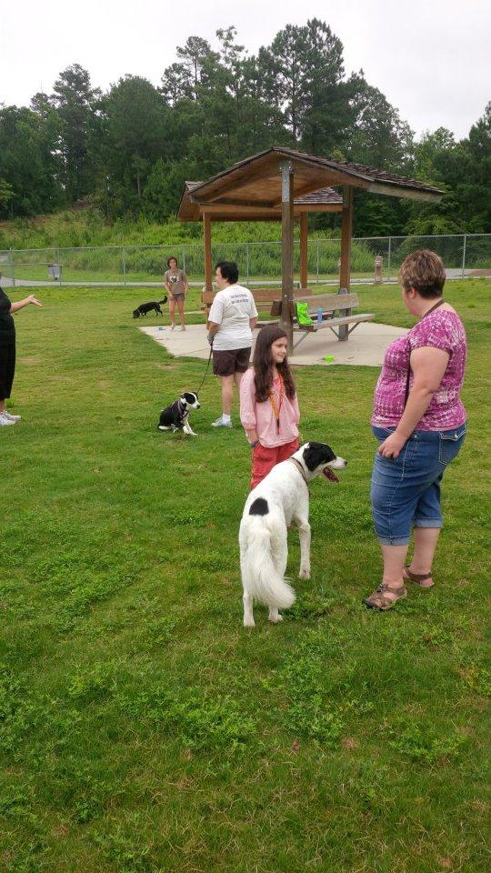 Pet Friendly Dog Park at Settles Bridge Park