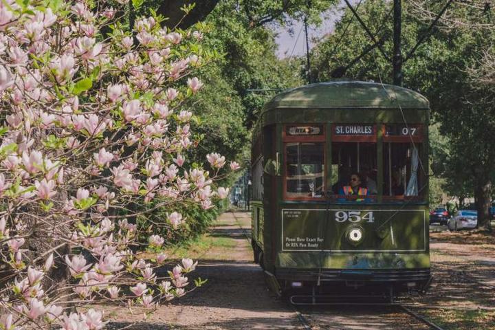 Pet Friendly New Orleans Streetcars