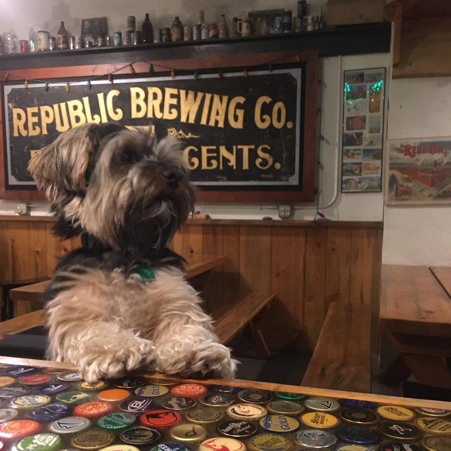 Pet Friendly Republic Brewing Company