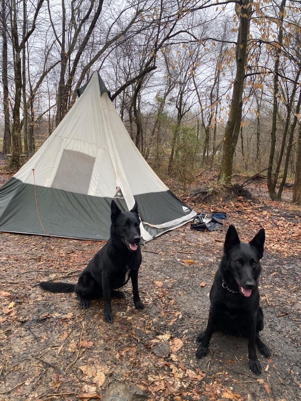 Pet Friendly Indian Mountain State Park