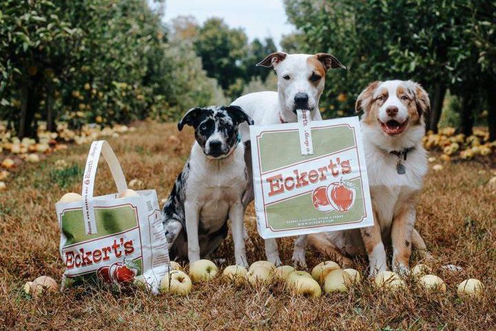 Pet Friendly Eckert's Country Store & Farms