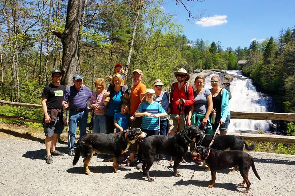 are dogs allowed in pisgah national forest