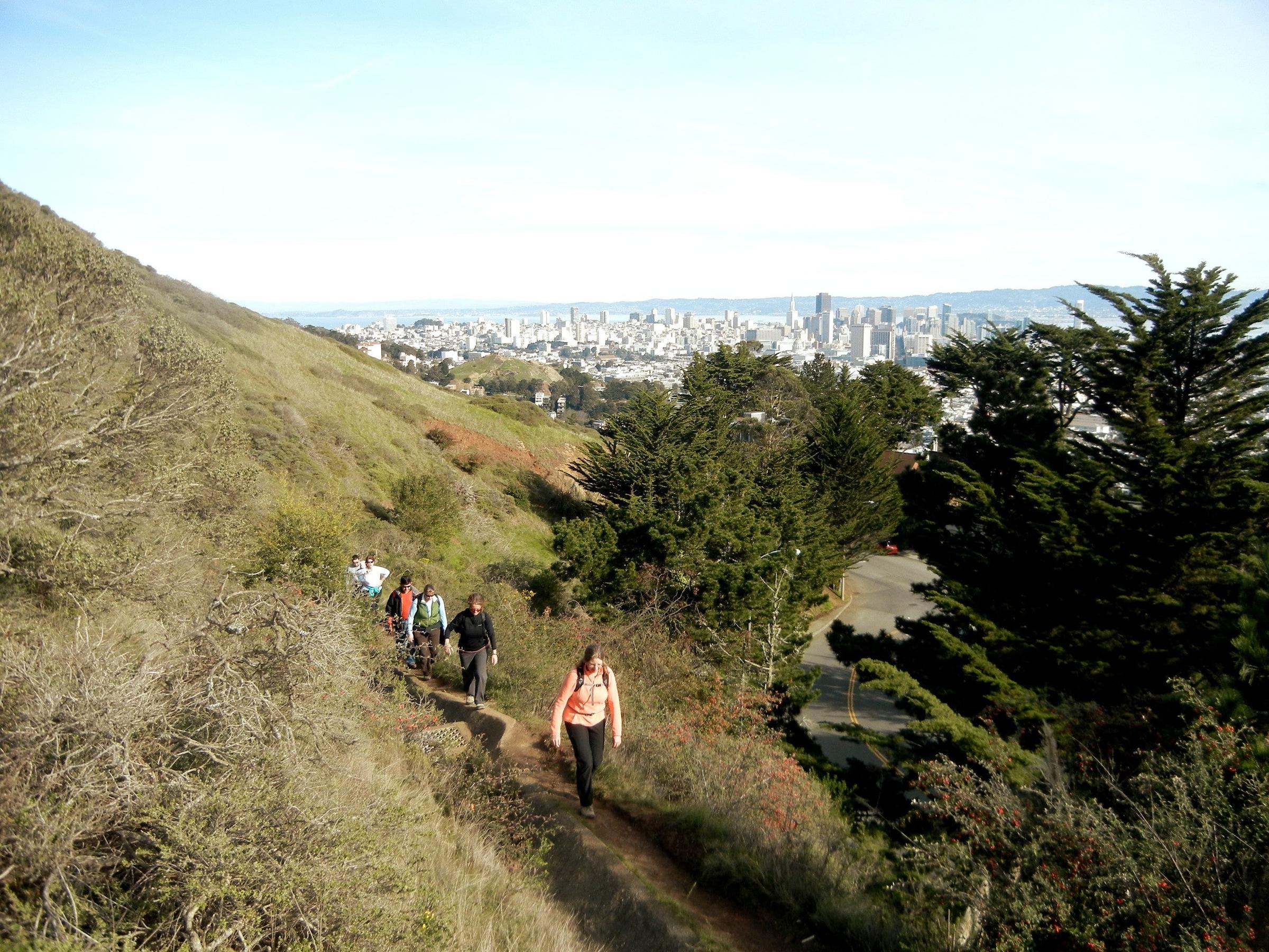 Pet Friendly Castro and Twin Peaks Urban Hike