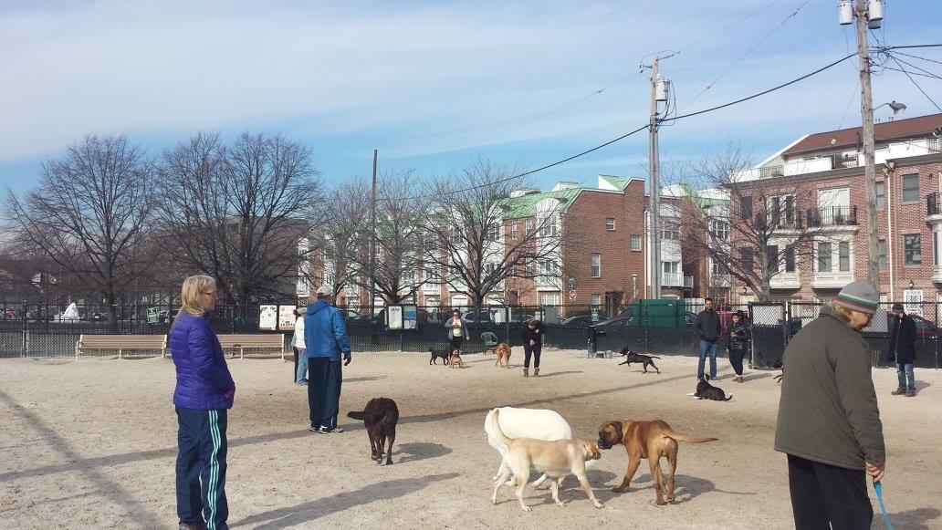 Canton store dog park