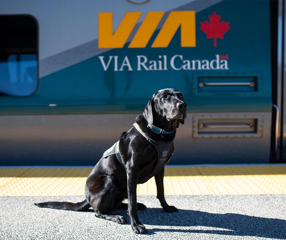 Pet Friendly VIA Rail Canada Inc
