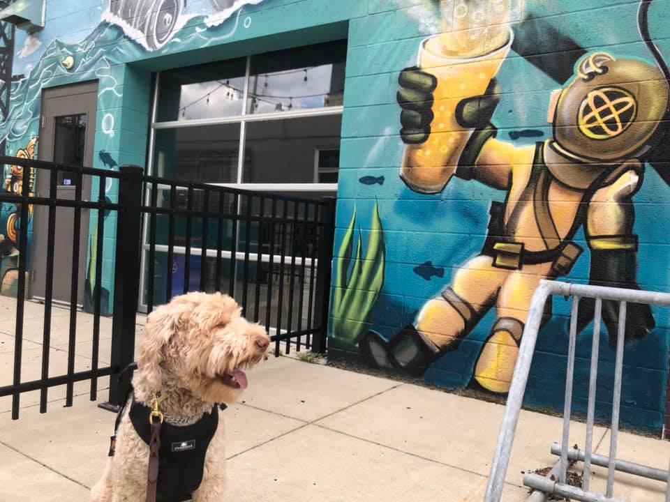 Pet Friendly Unexpected Craft Brewing Company
