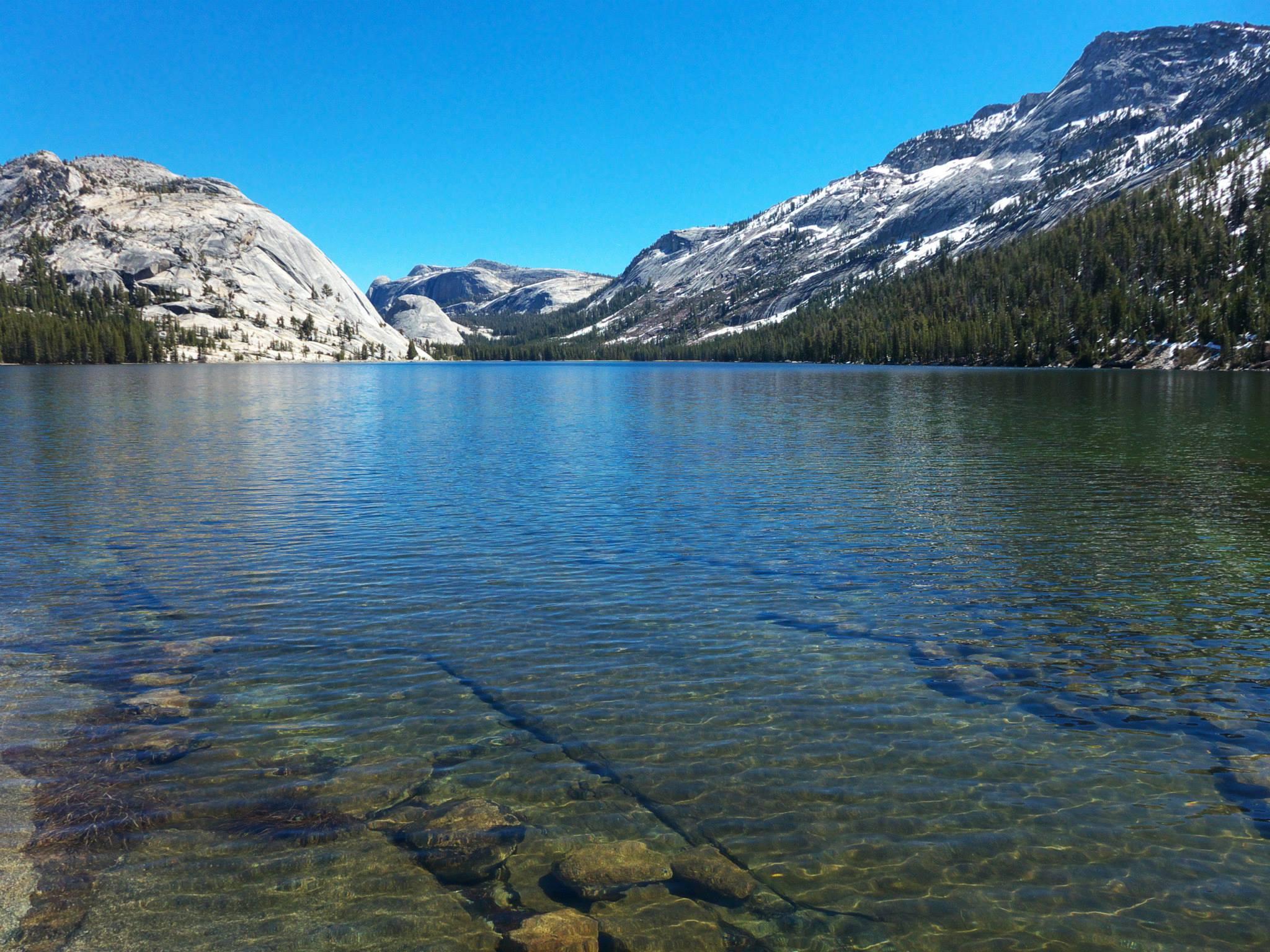 Pet Friendly Mirror Lake Trail - Yosemite
