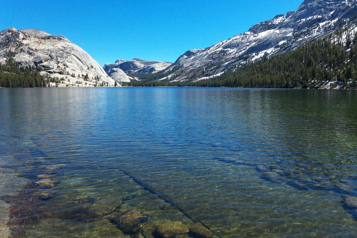 Pet Friendly Mirror Lake Trail - Yosemite