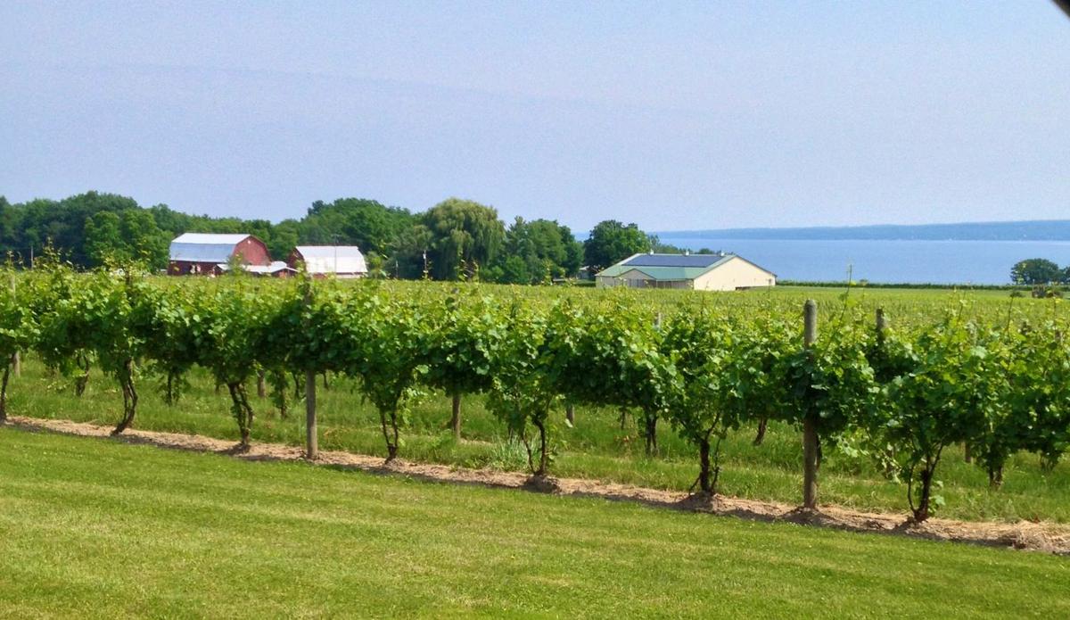 Cayuga Lake Wine Trail