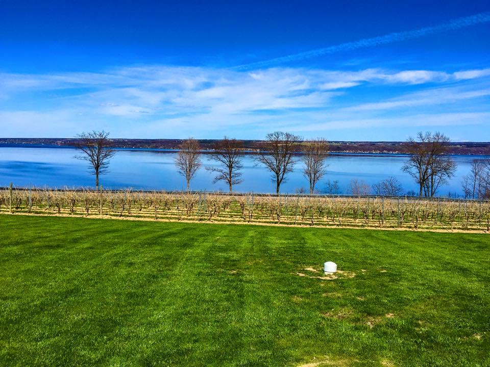 Wineries near 2024 cayuga lake