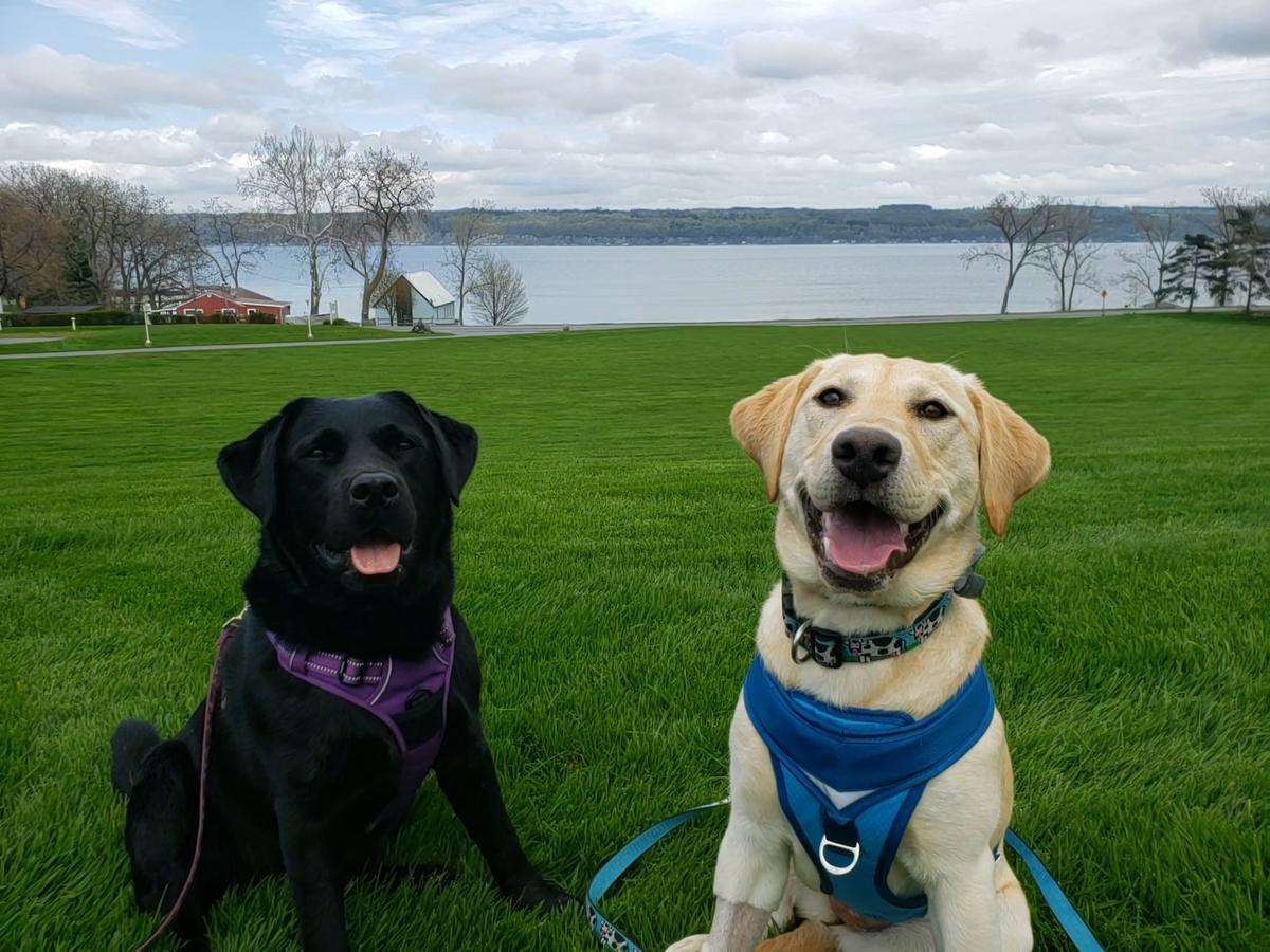 Cayuga lake clearance wine trail