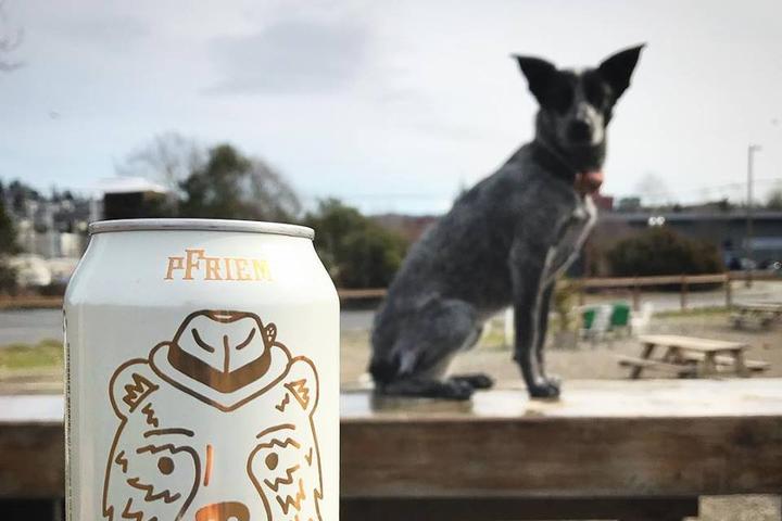 Dog Friendly Activities In Ferndale Wa Bringfido