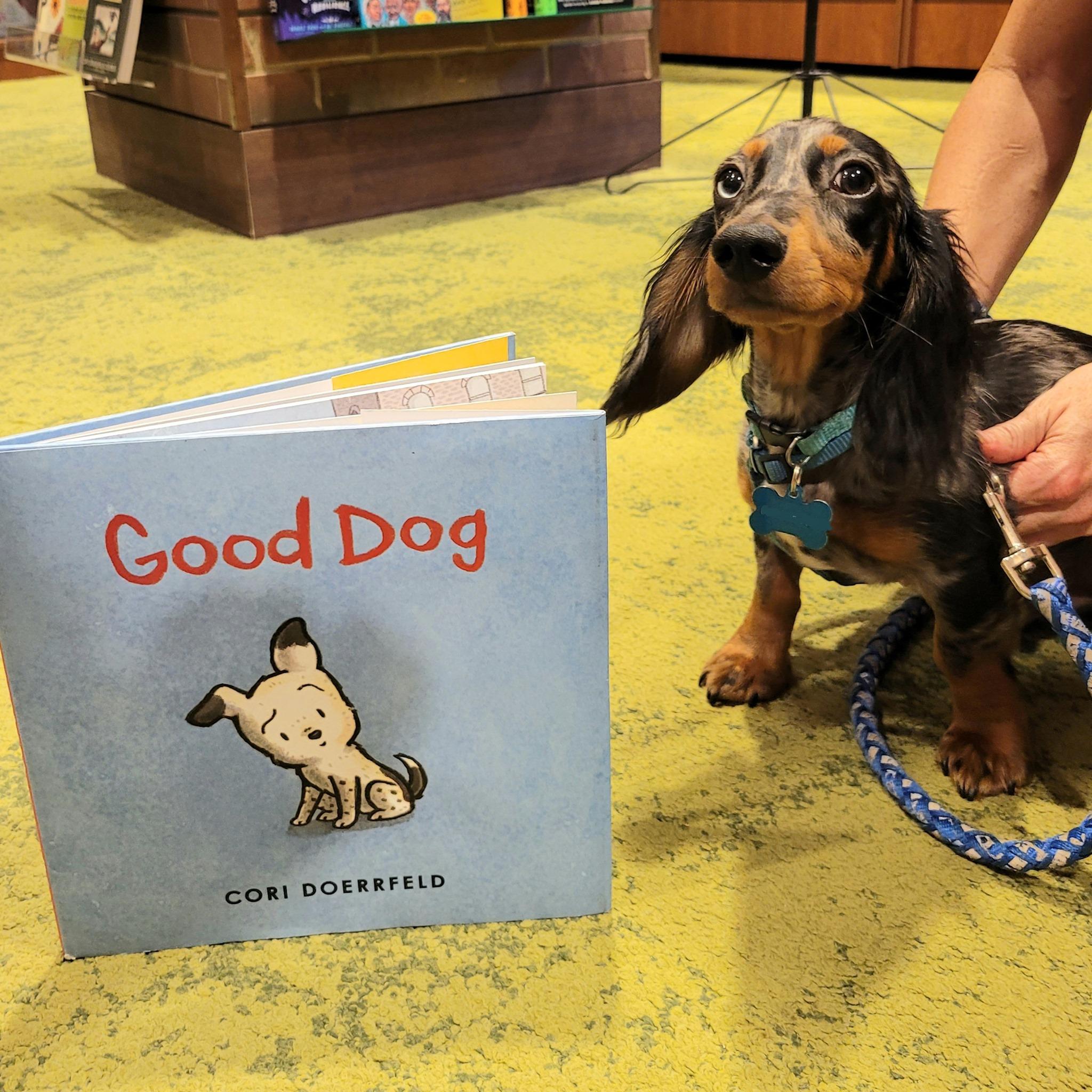 Pet Friendly Quail Ridge Books