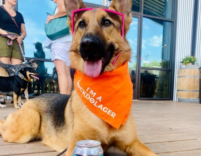 Pet Friendly Sockdolager Brewing Company