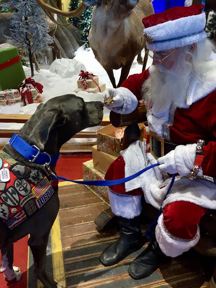 Are Dogs Allowed In Bass Pro Springfield Mo