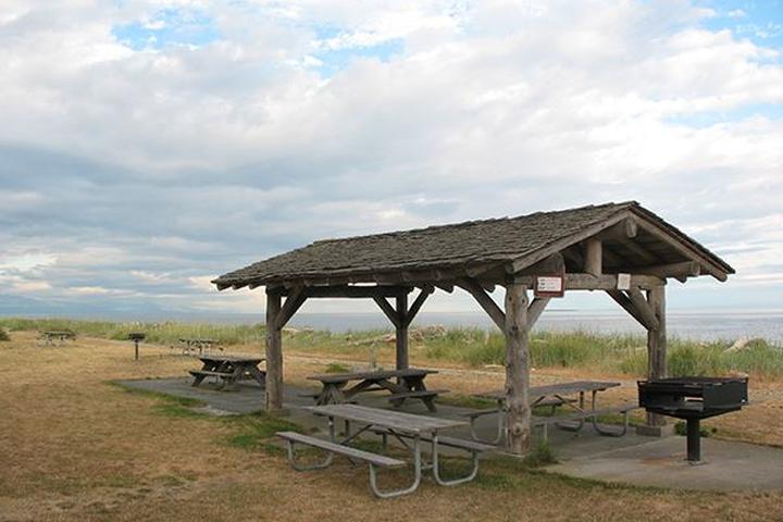Pet Friendly Fort Ebey State Park