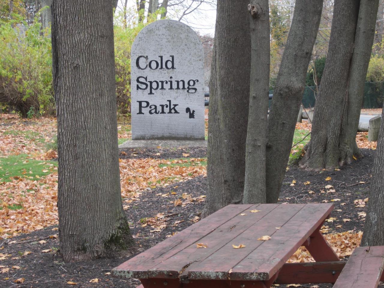 Pet Friendly Cold Spring Park