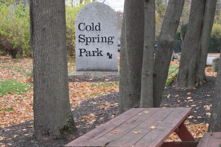 Pet Friendly Cold Spring Park