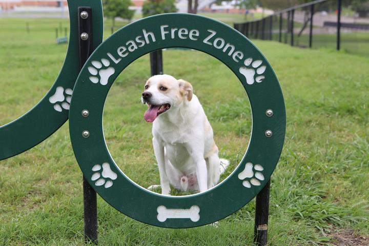 Pet Friendly Copeland Leash Free Zone